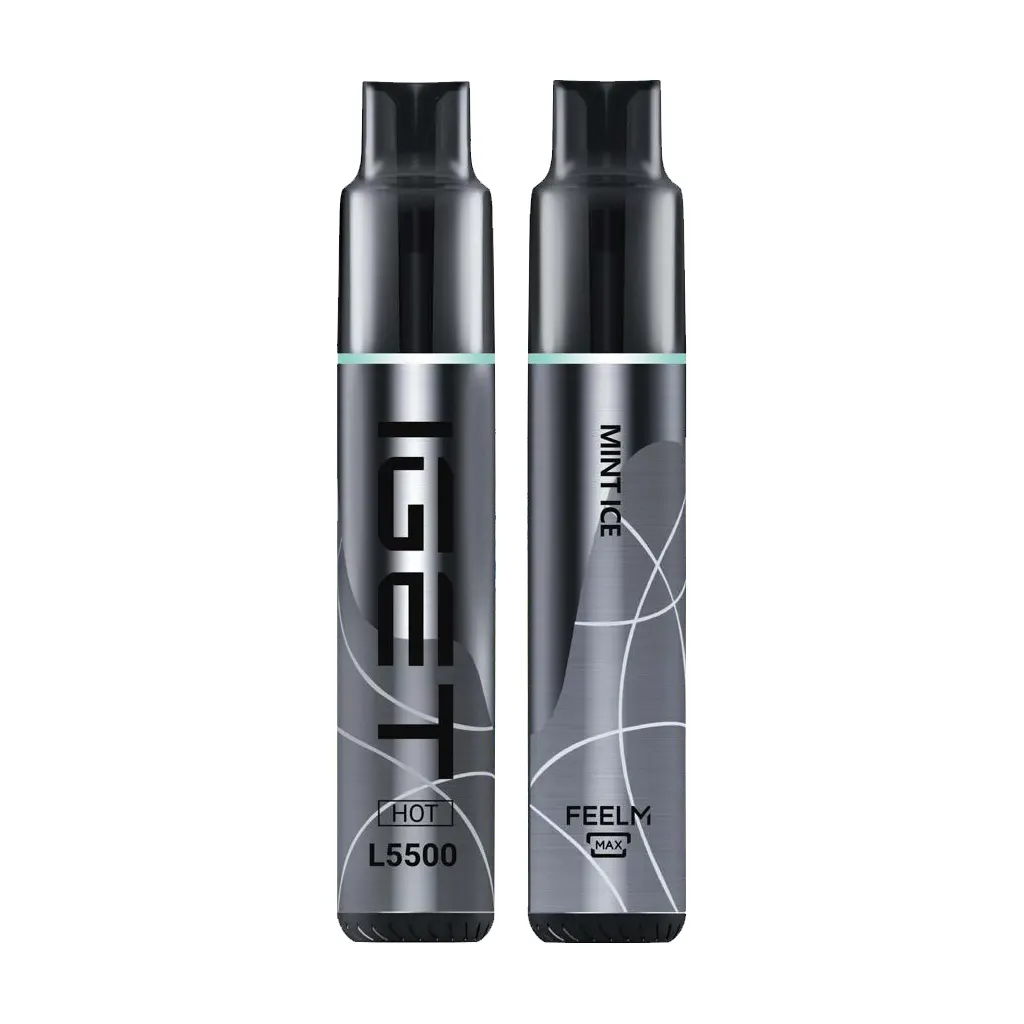 IGET HOT – MINT ICE – 5500 PUFFS